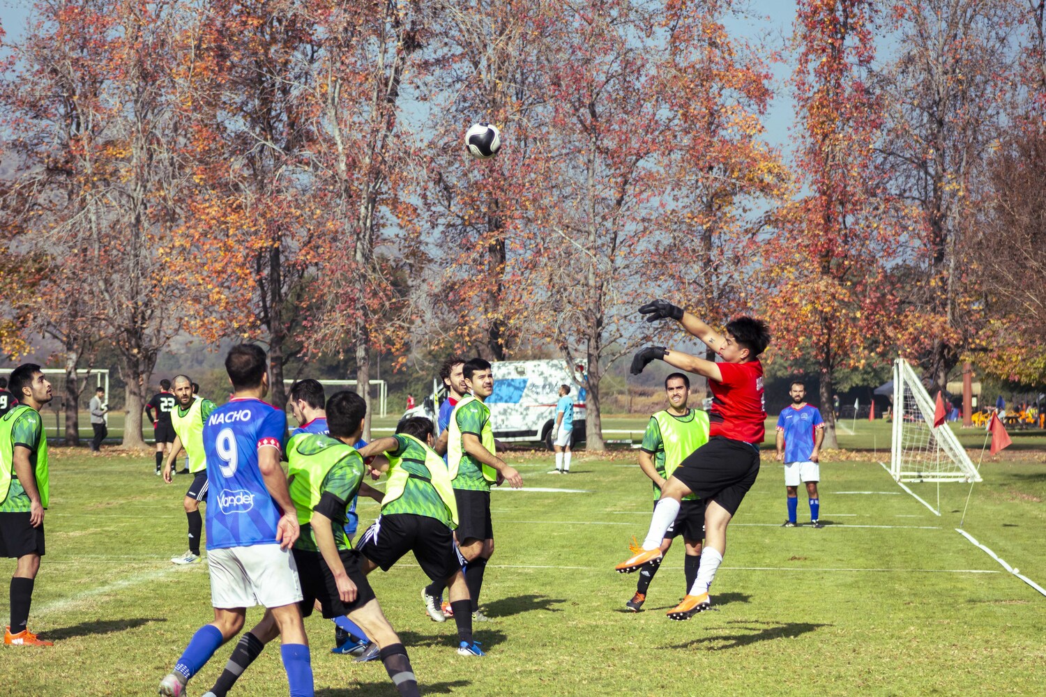 _MG_7931.jpg