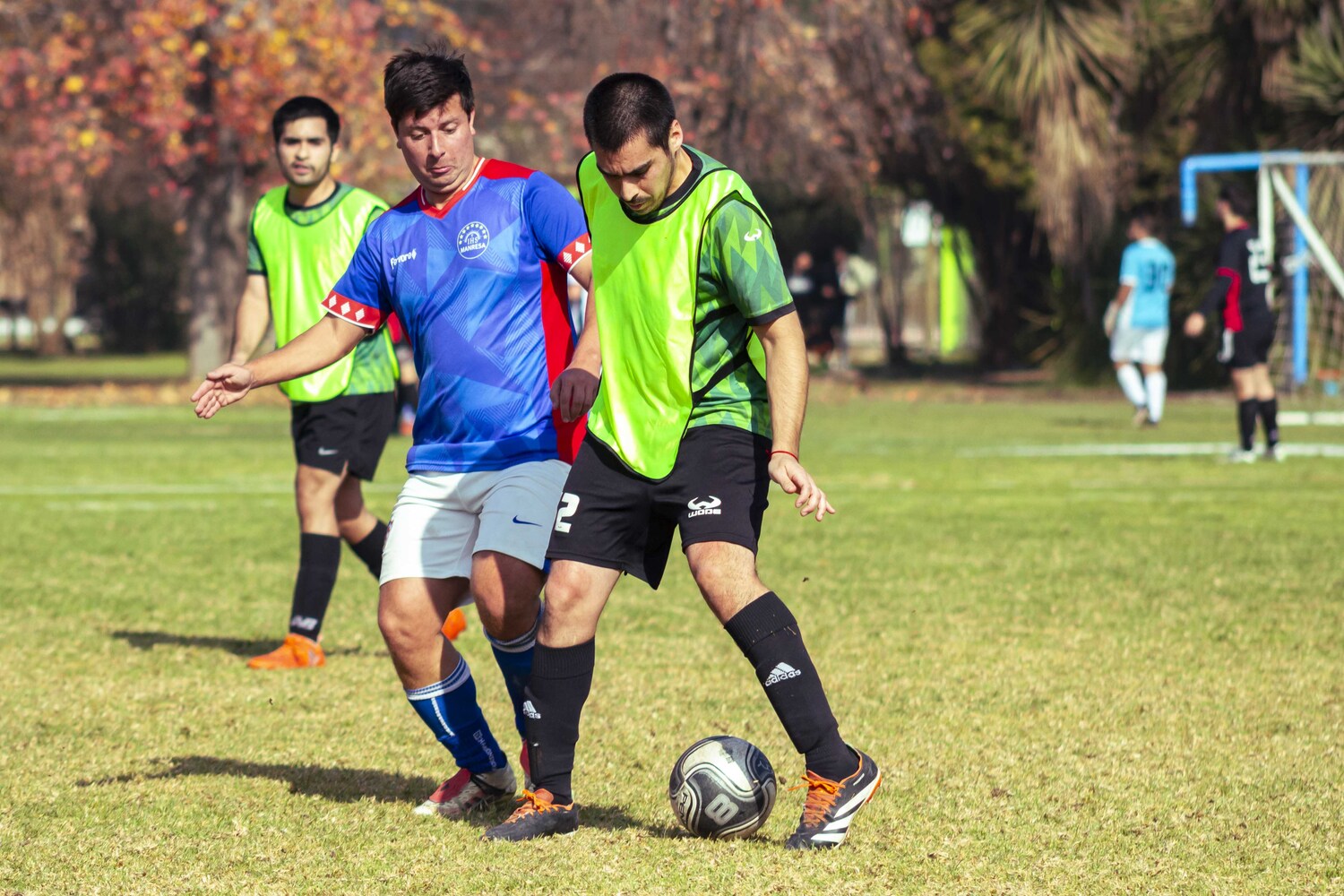 _MG_7939.jpg