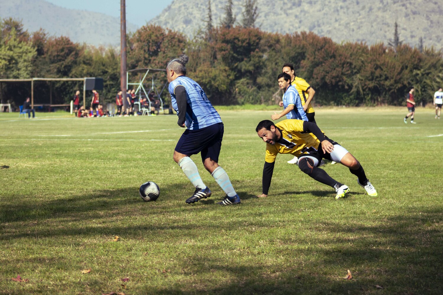 _MG_7958.jpg