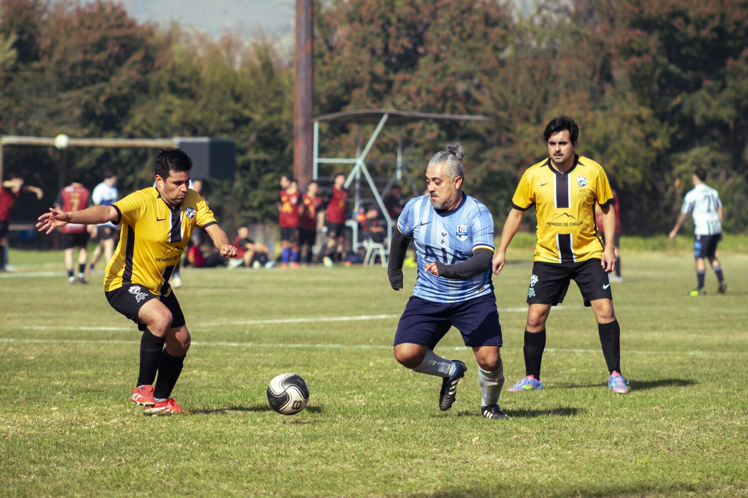 _MG_7959.jpg