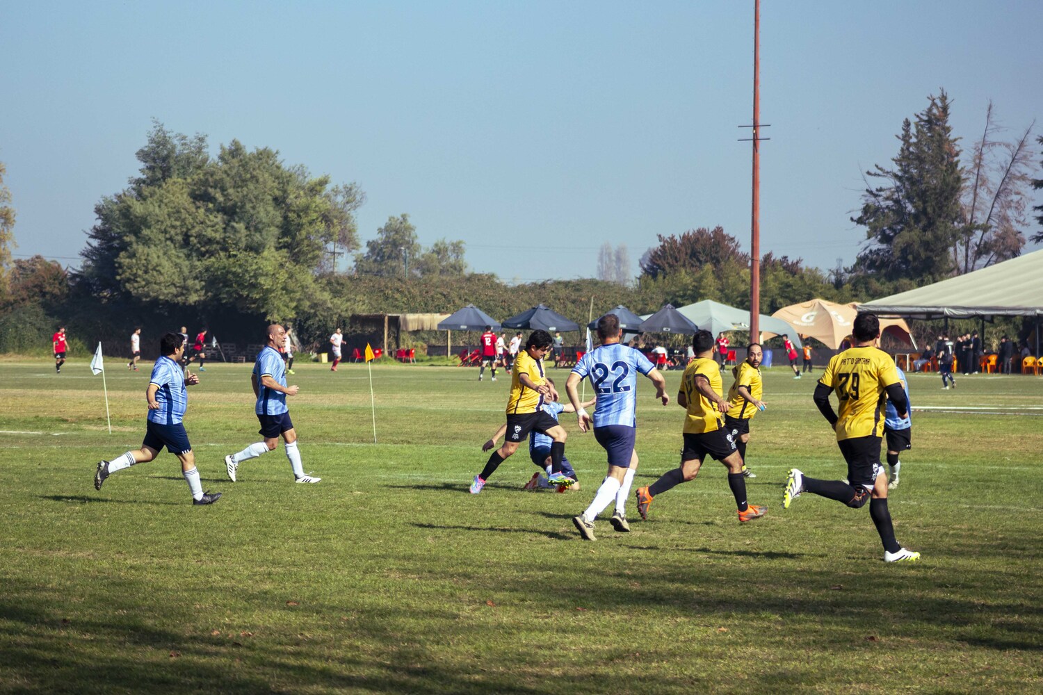_MG_7962.jpg