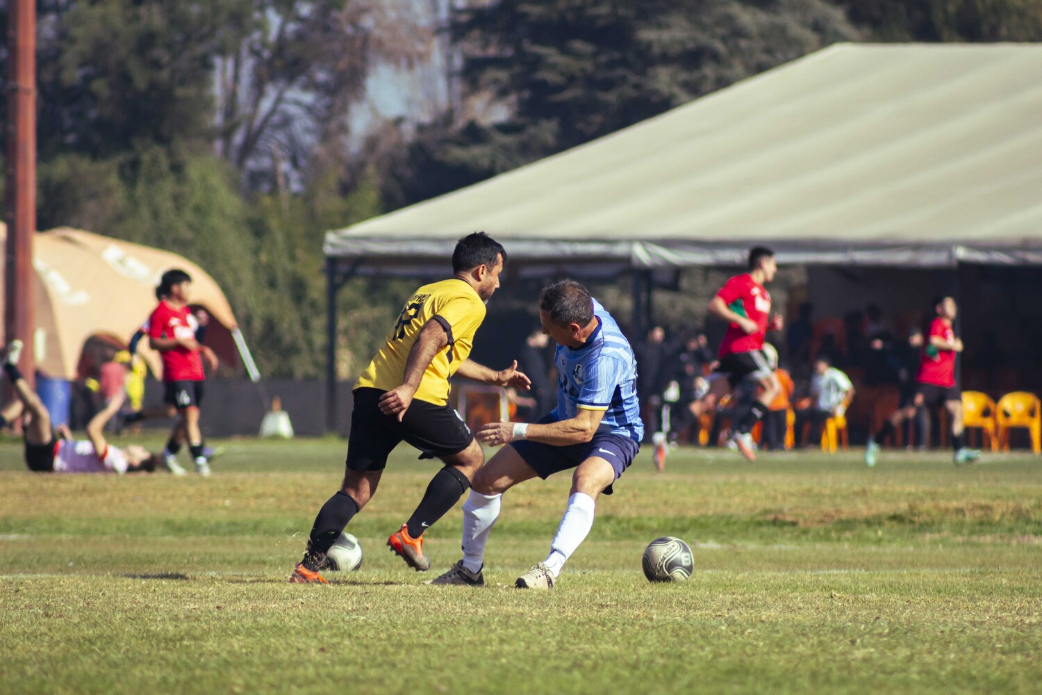 _MG_7966.jpg