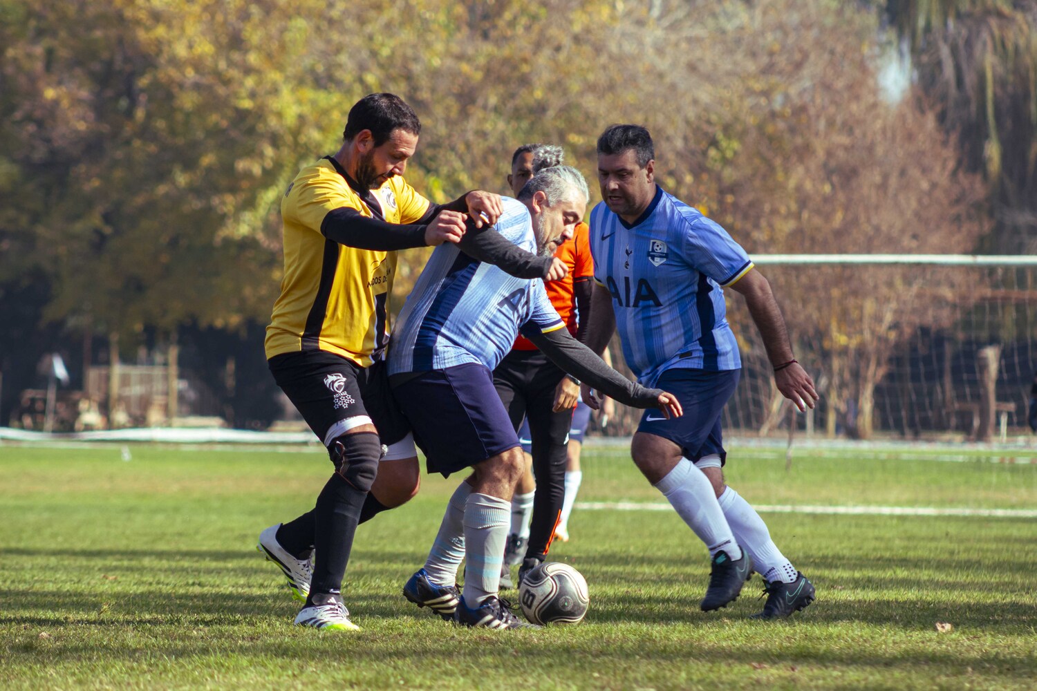 _MG_7969.jpg