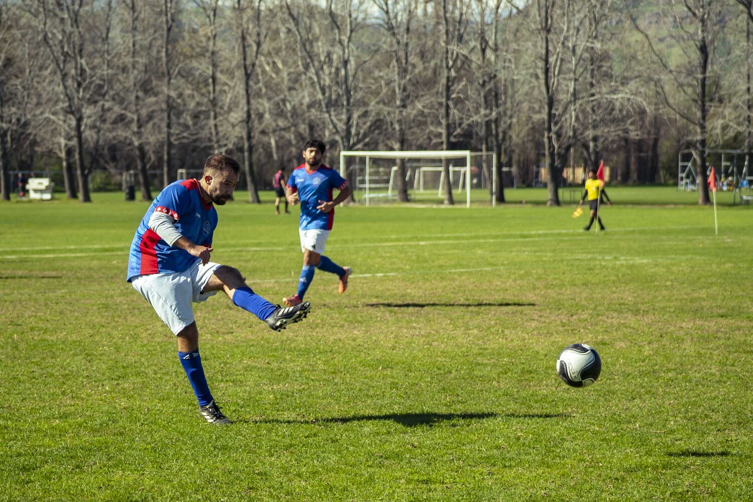 _DSC0081.jpg