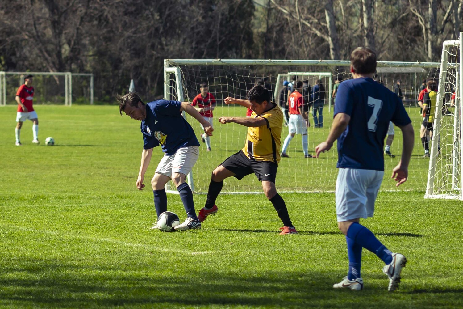 _DSC0118.jpg