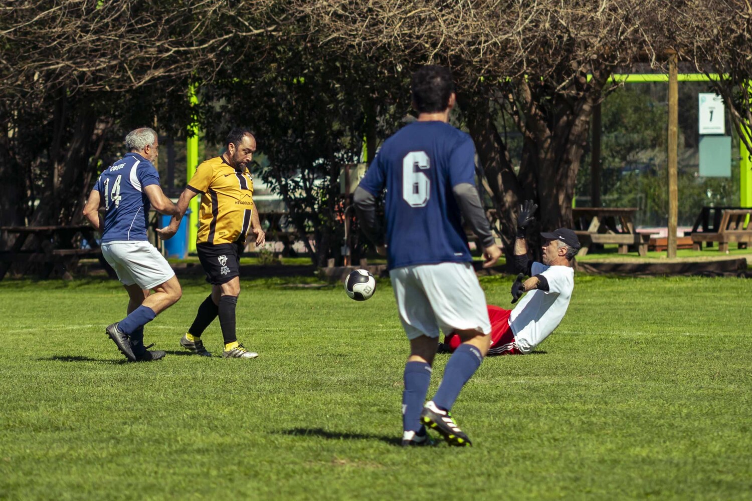 _DSC0146.jpg