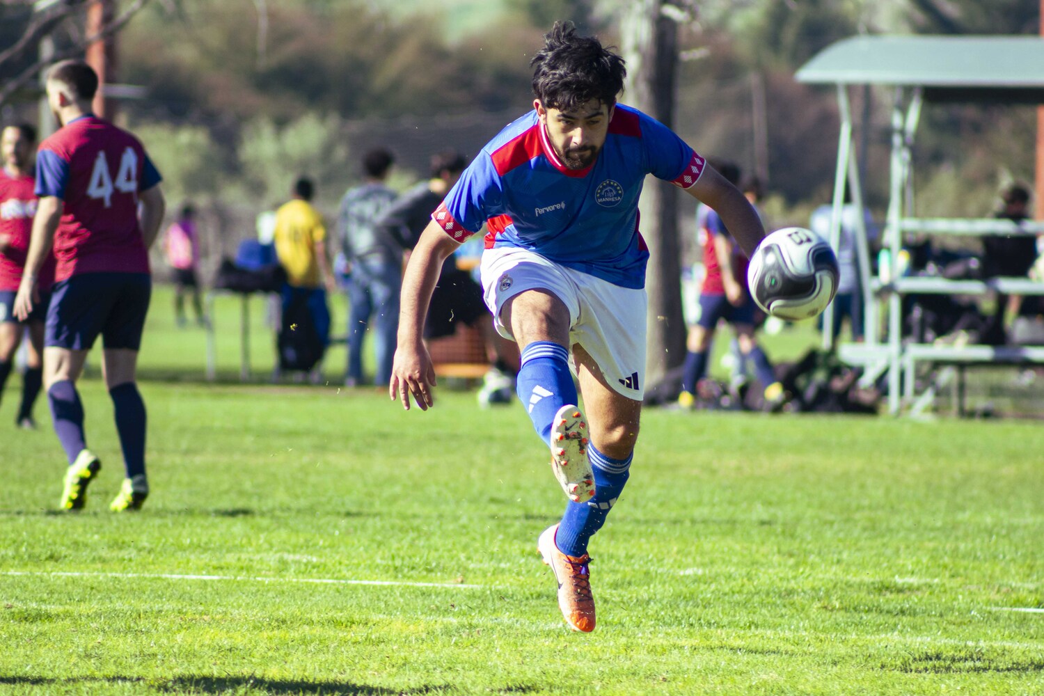_MG_0005.jpg