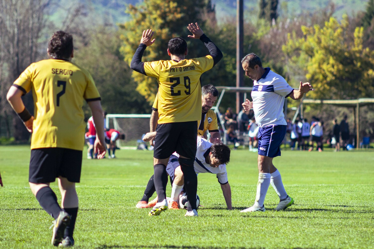 _MG_0045.jpg