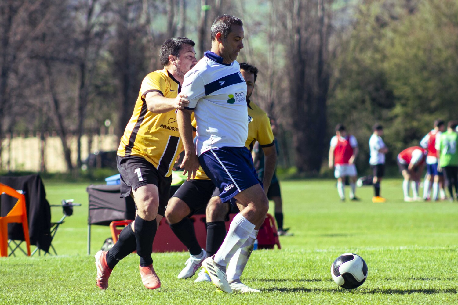 _MG_0050.jpg