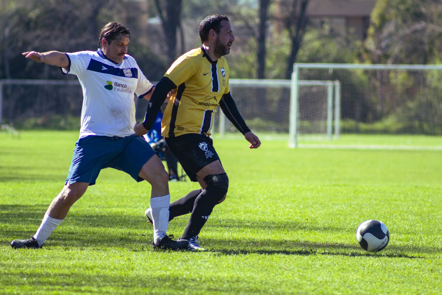 _MG_0068.jpg