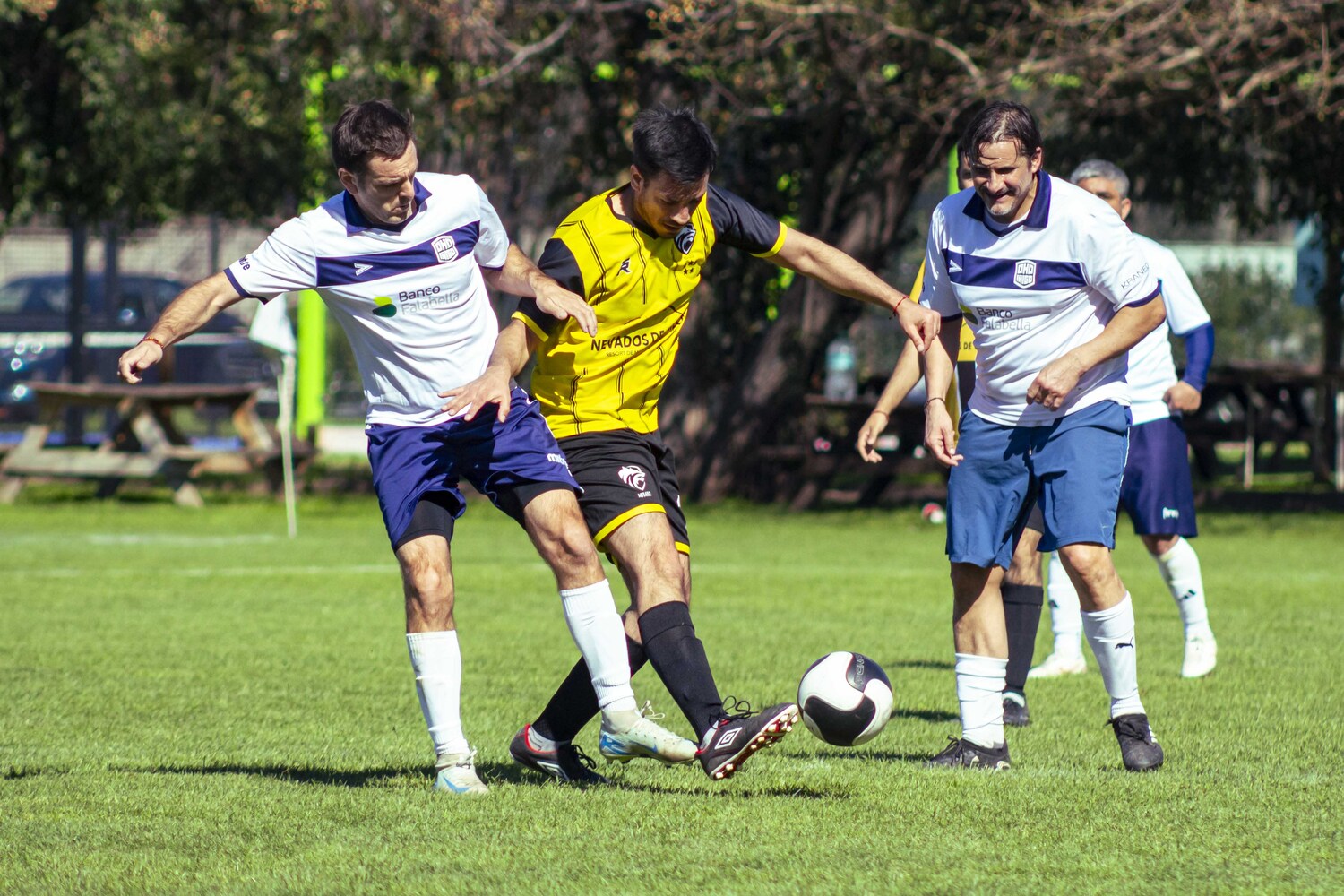 _MG_0080.jpg