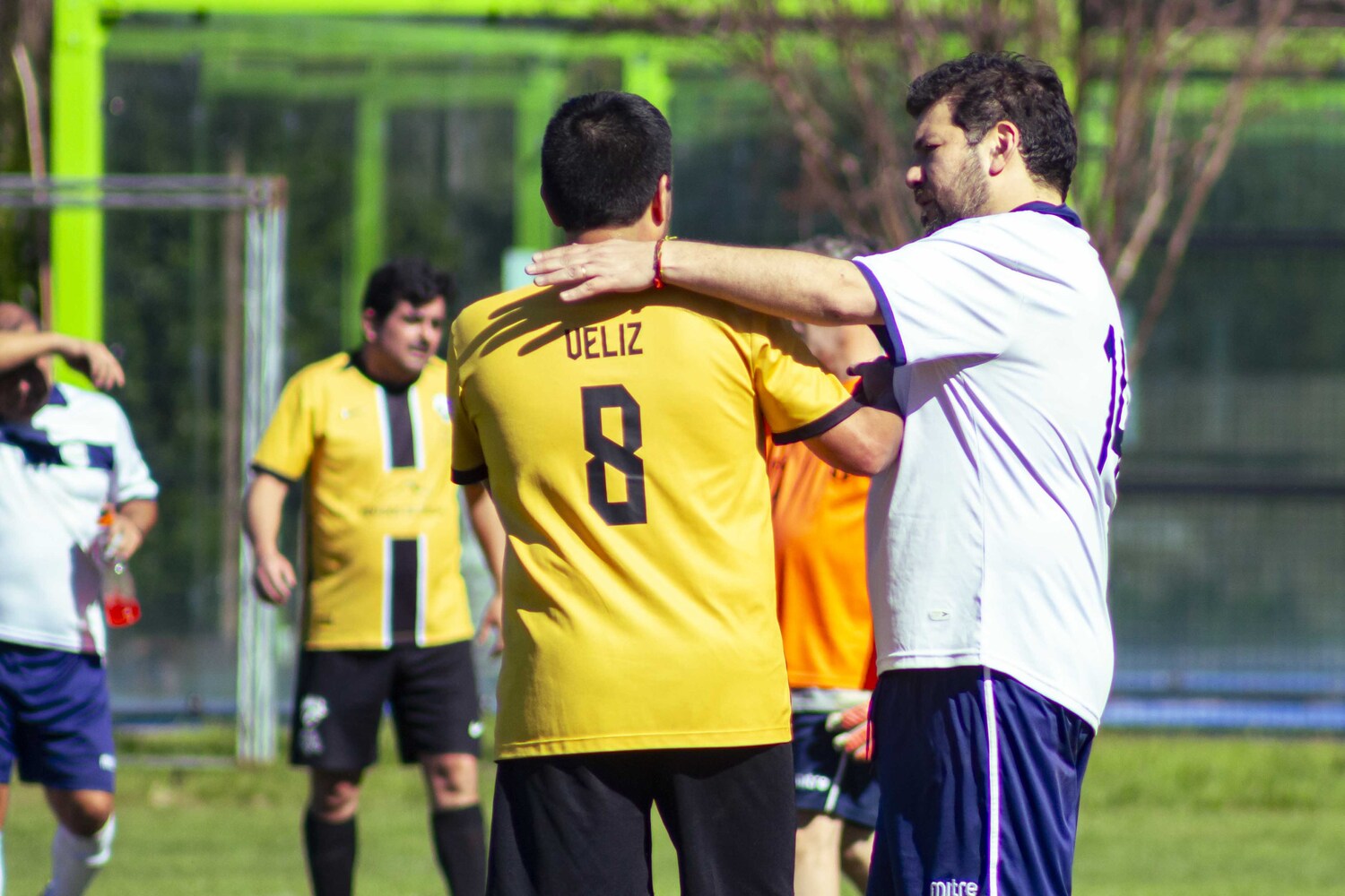 _MG_0100.jpg