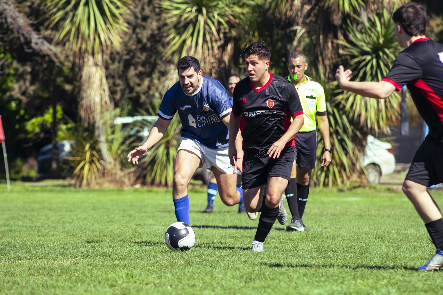 _MG_0124.jpg