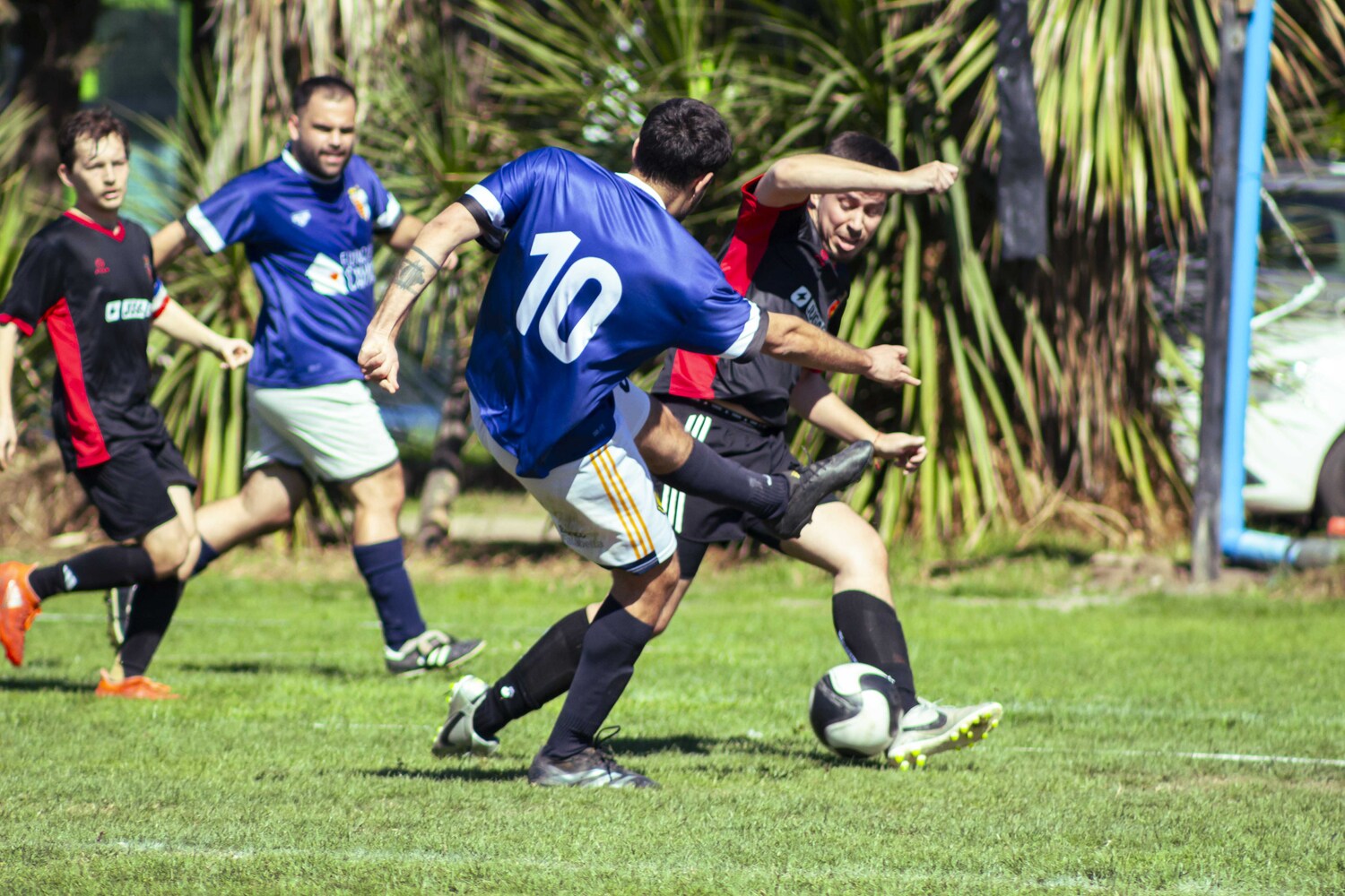 _MG_0141.jpg