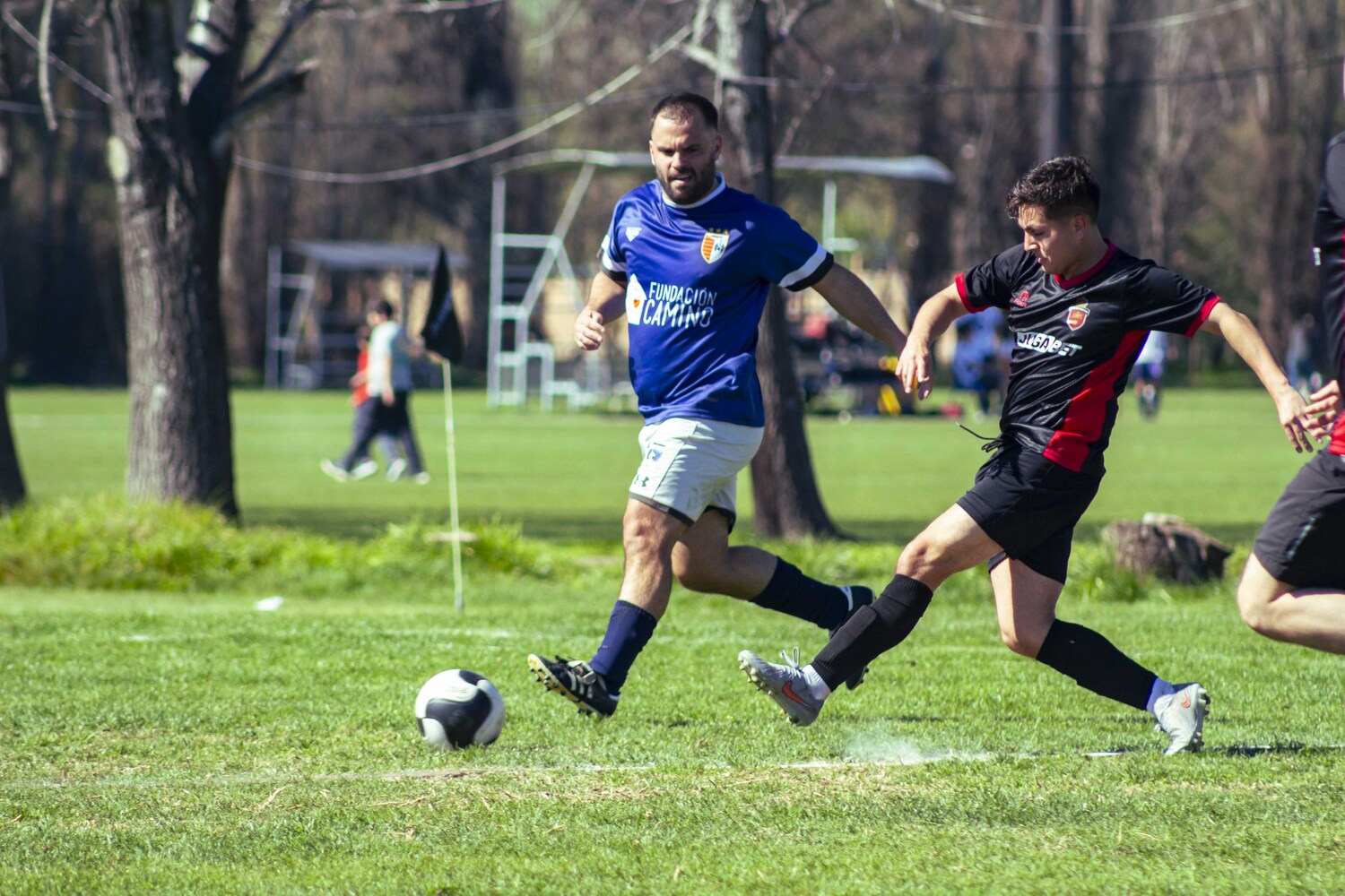 _MG_0142.jpg