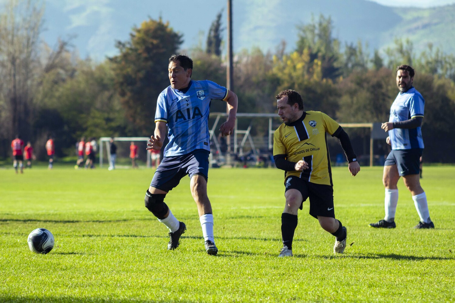 _MG_0223.jpg