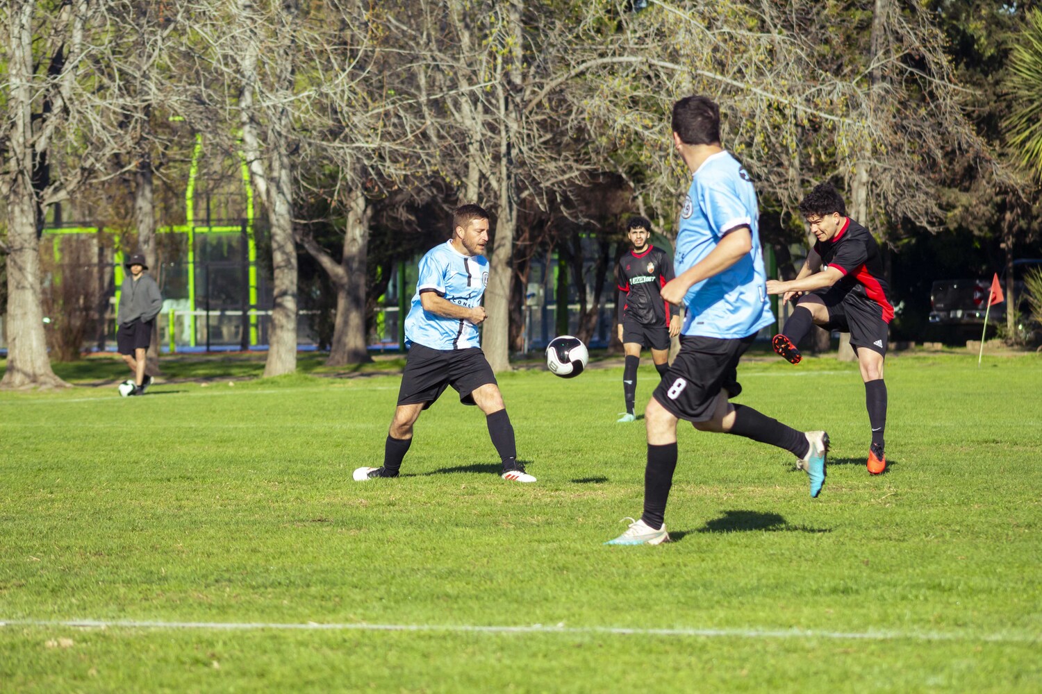_MG_0252.jpg