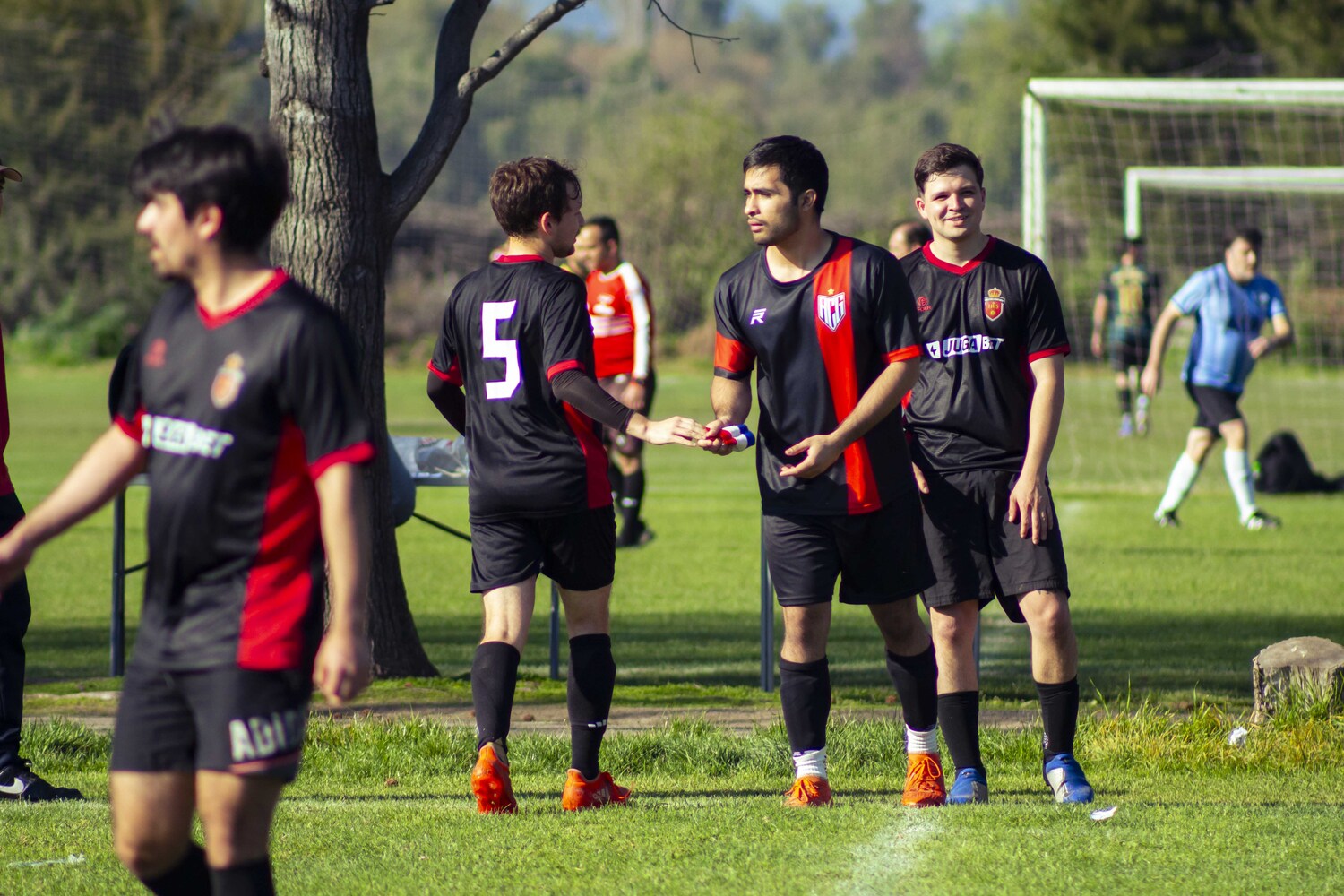_MG_0272.jpg
