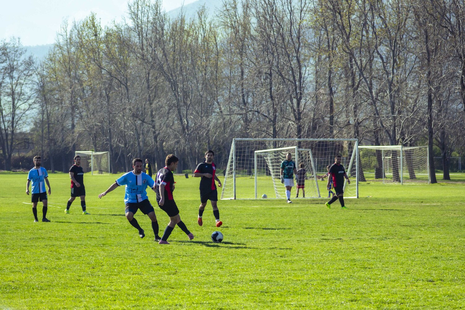 _MG_0281.jpg