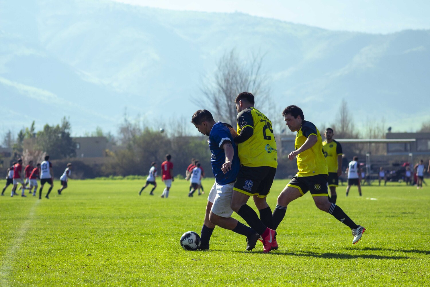 _MG_0286.jpg