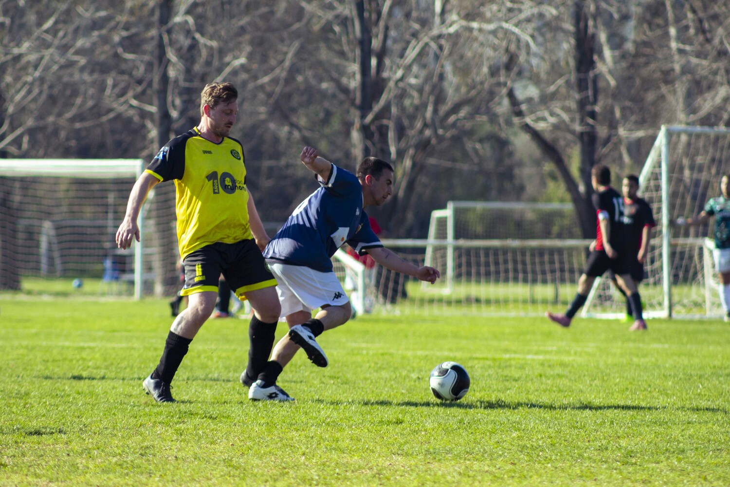 _MG_0288.jpg