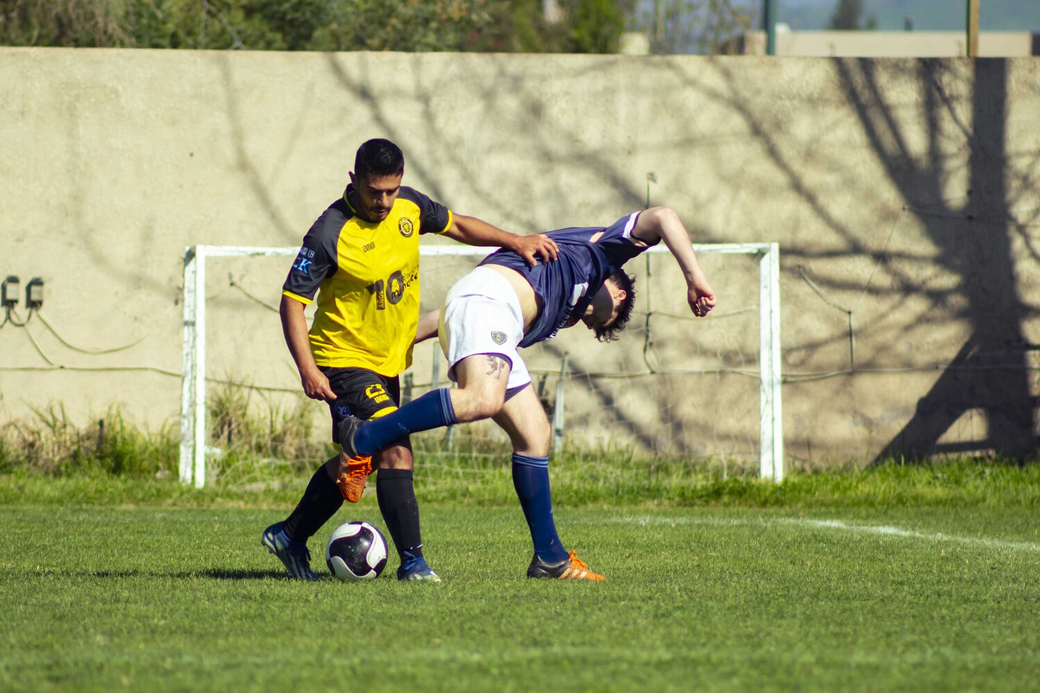 _MG_0331.jpg