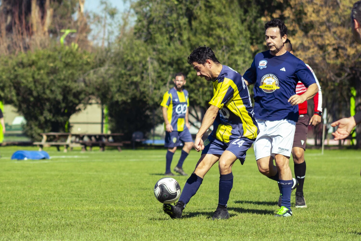 _MG_0384.jpg
