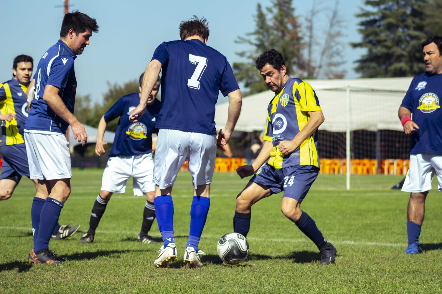 _MG_0386.jpg