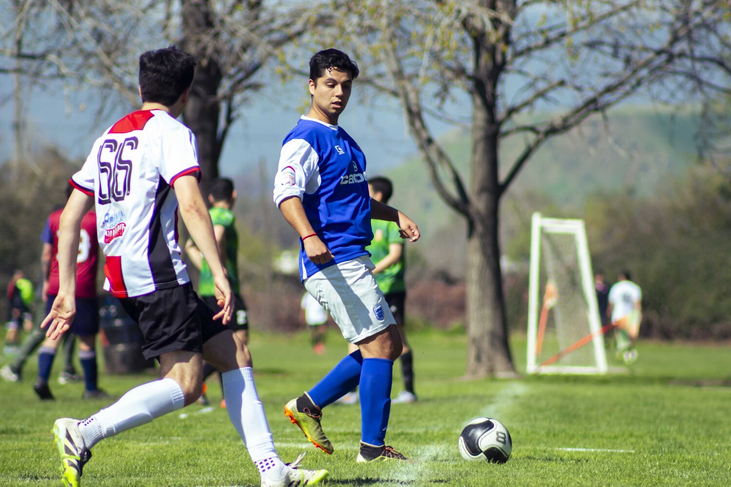 _MG_0435.jpg