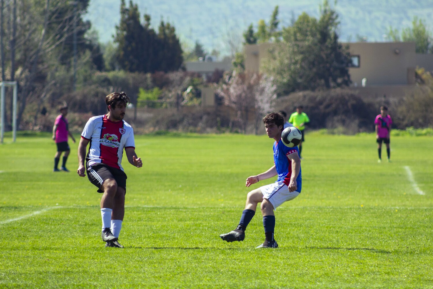 _MG_0450.jpg