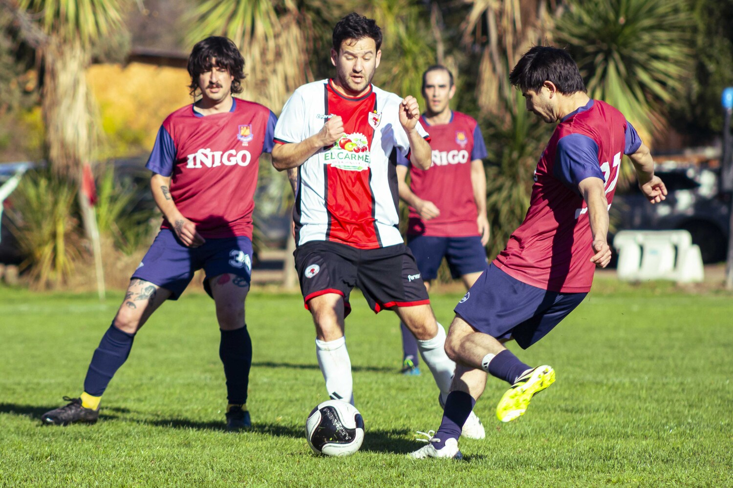 _MG_9953.jpg