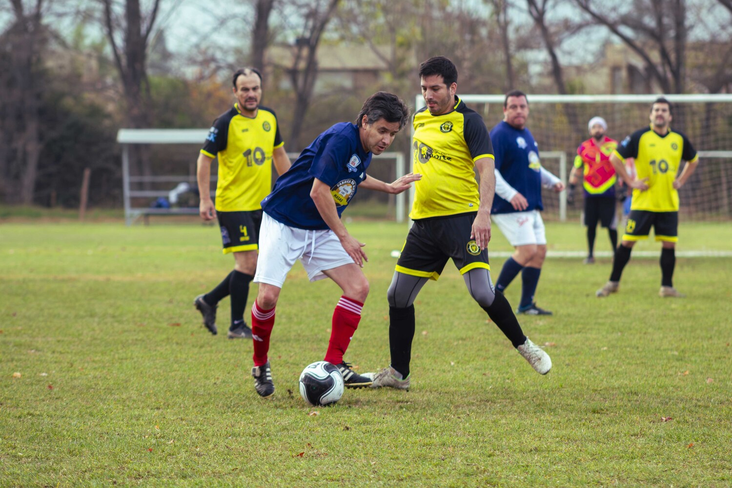_MG_8029.jpg