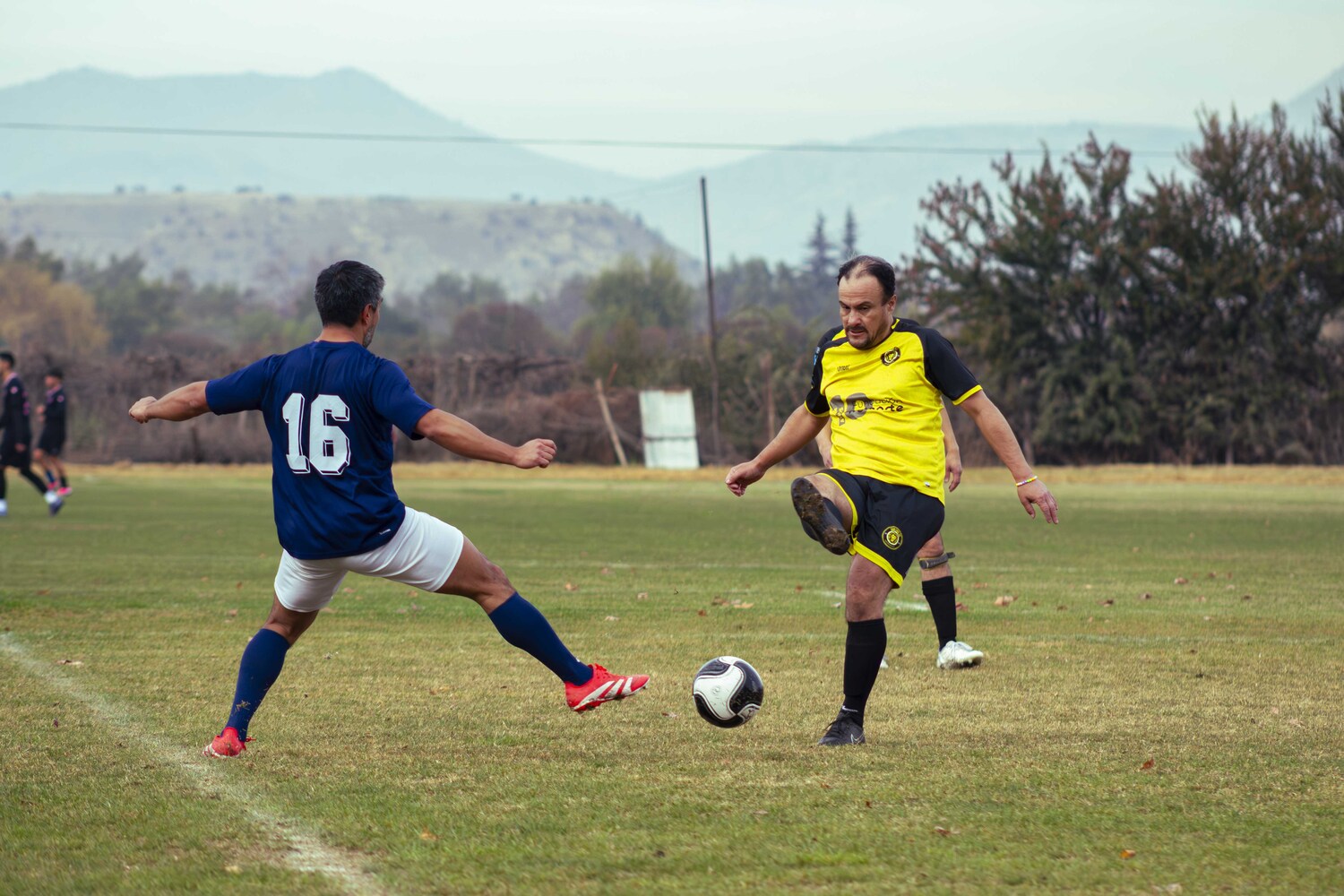_MG_8046.jpg