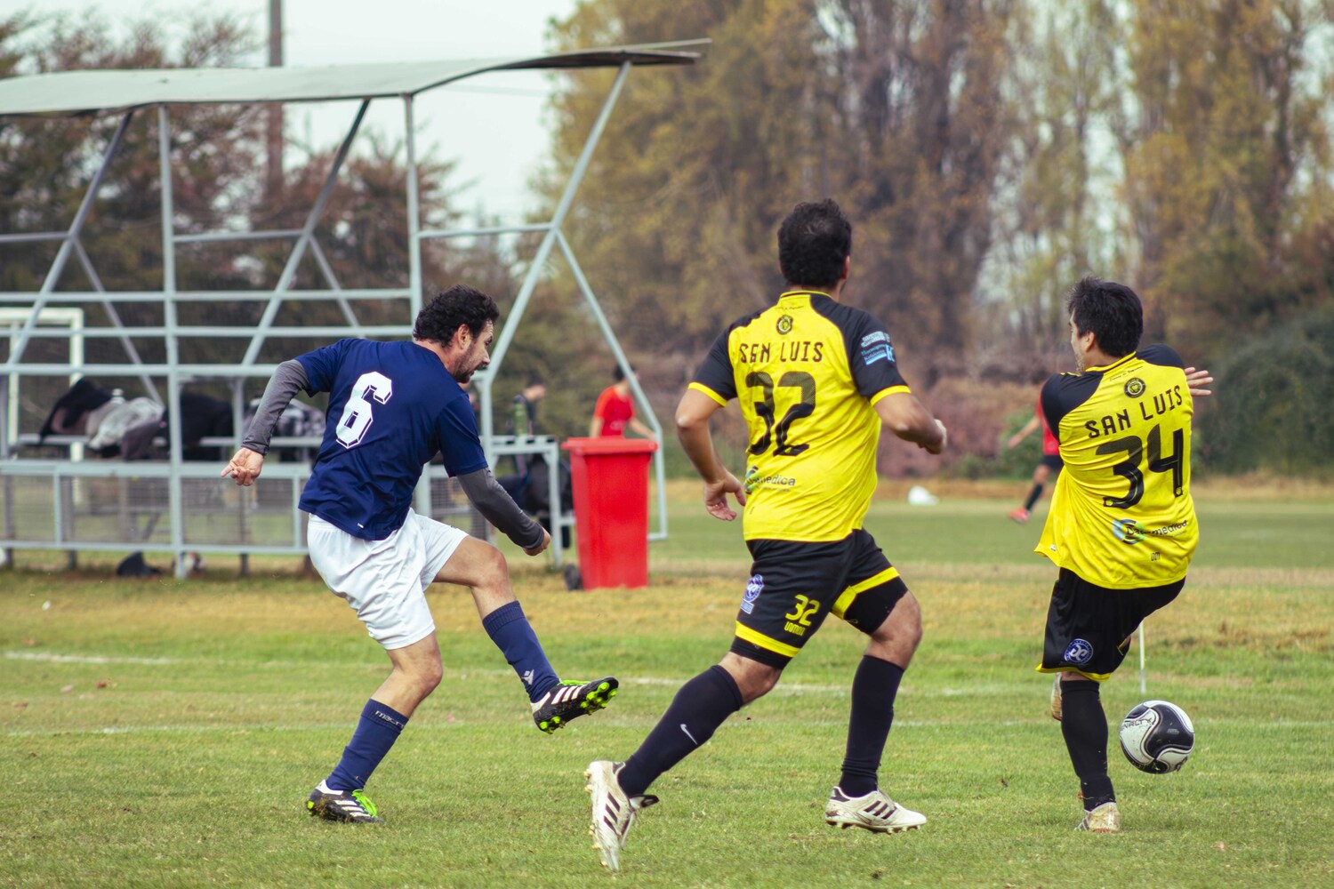 _MG_8050.jpg