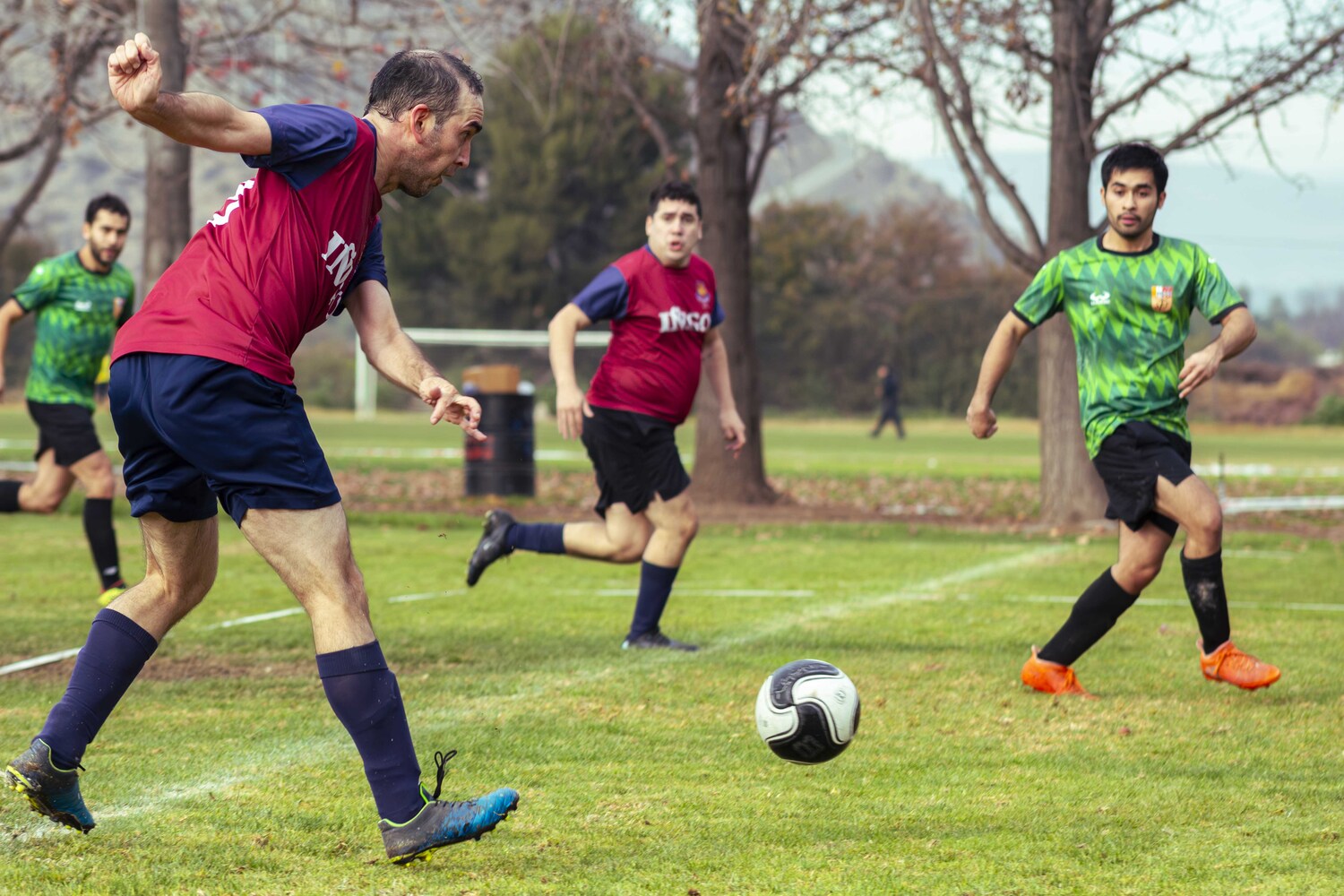 _MG_8081.jpg