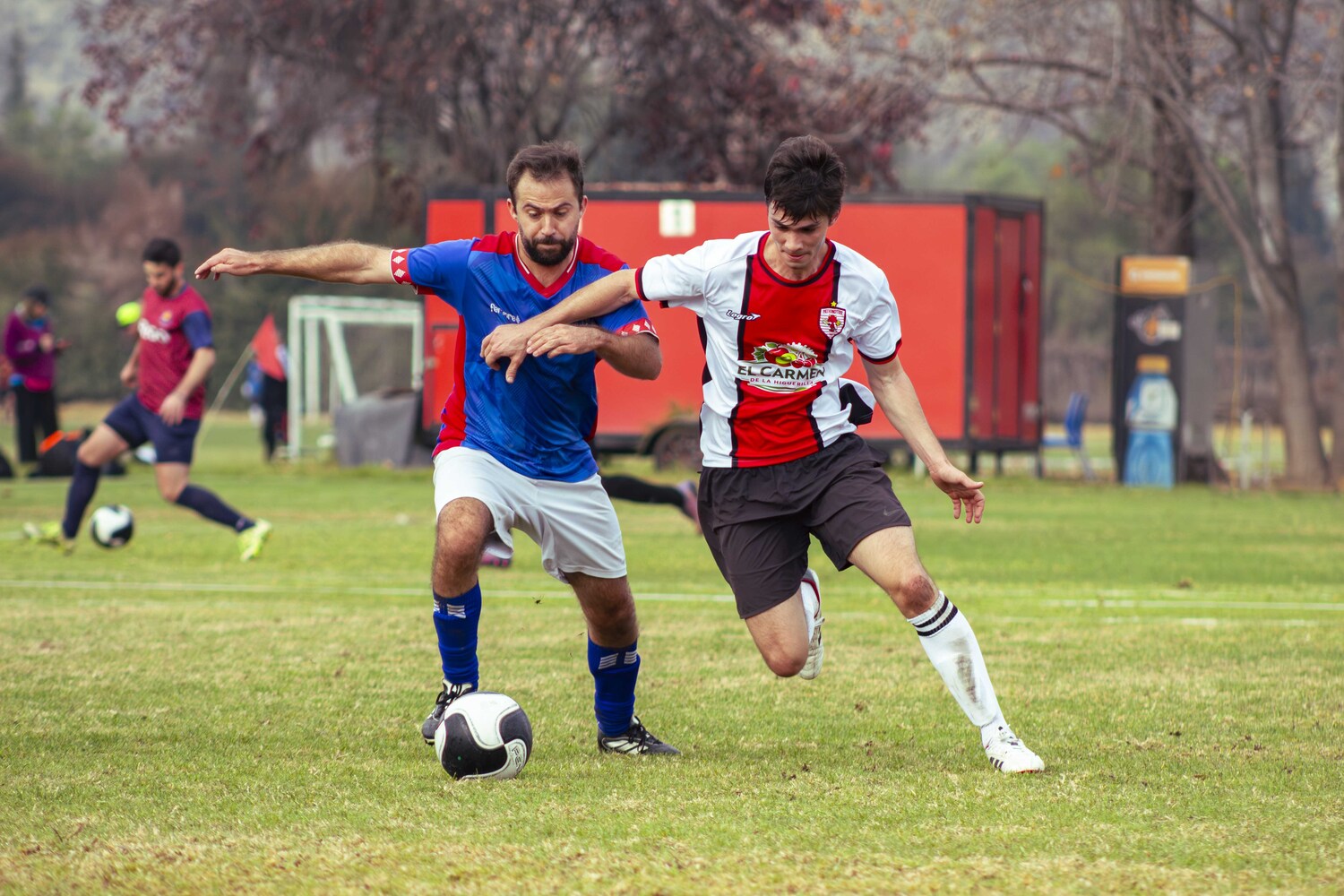 _MG_8114.jpg