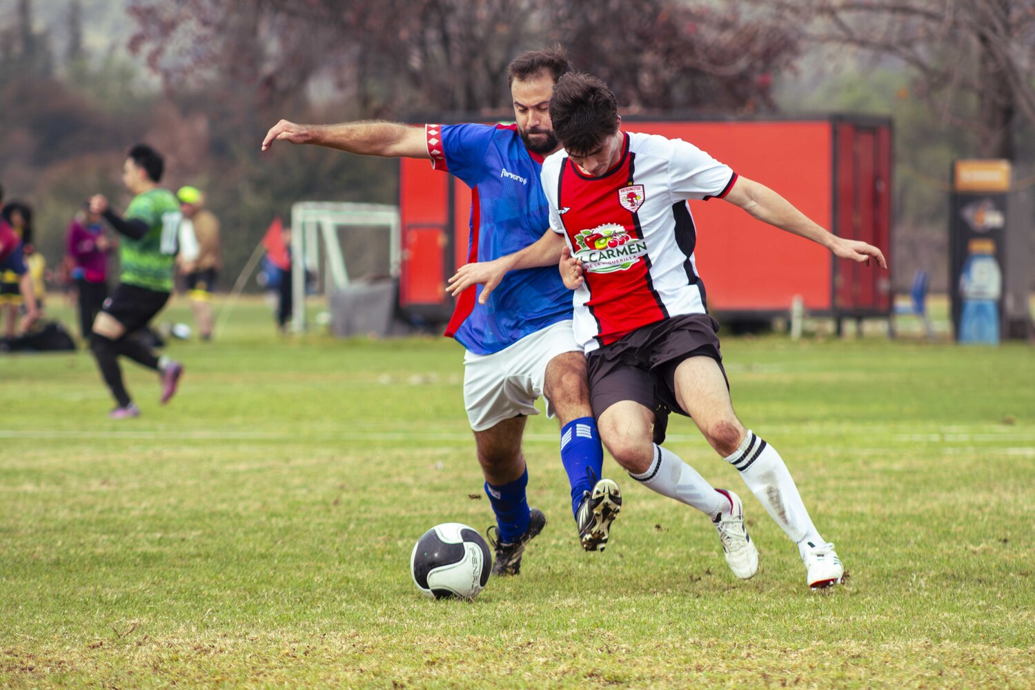 _MG_8115.jpg