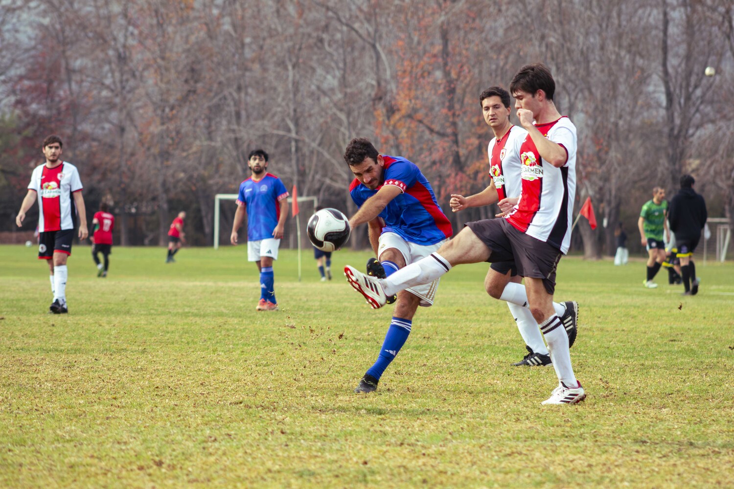 _MG_8122.jpg