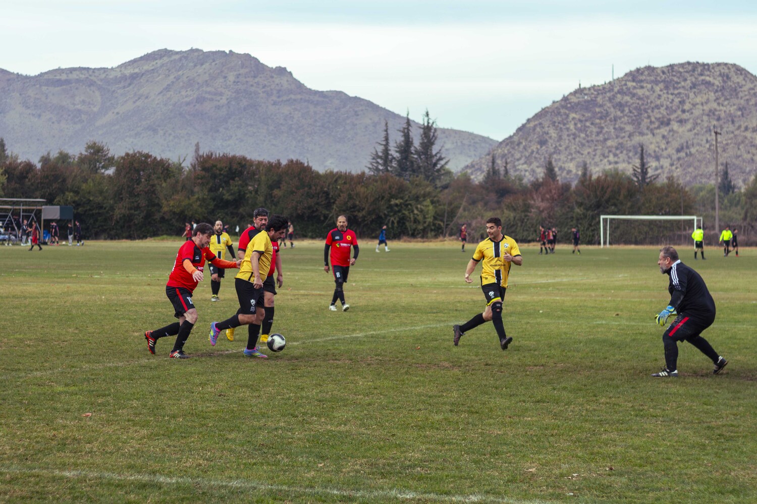 _MG_8155.jpg