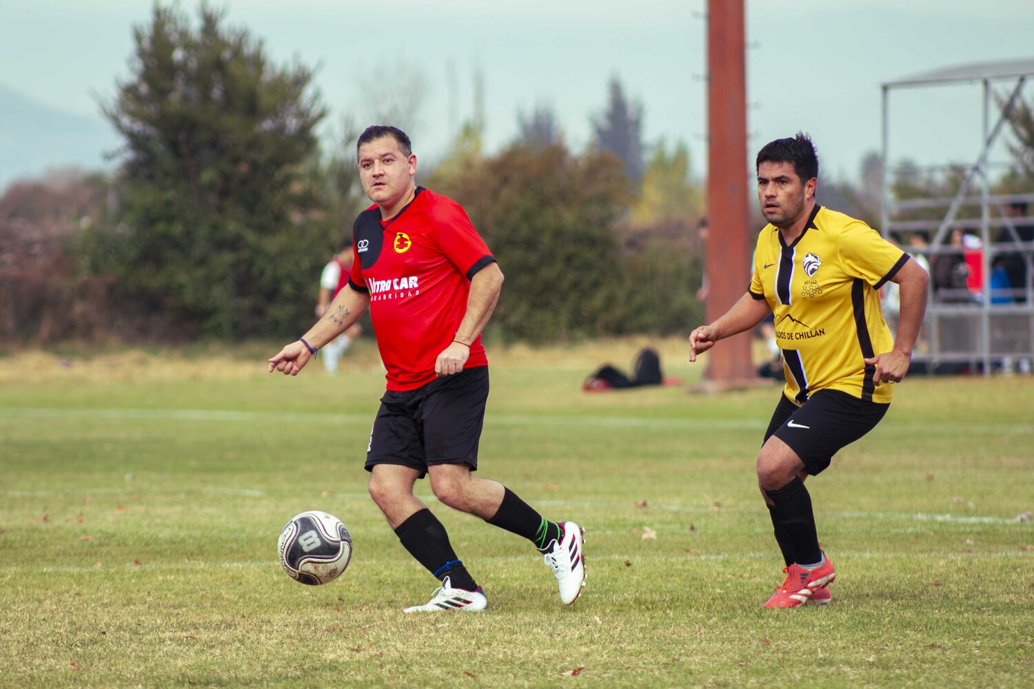 _MG_8167.jpg