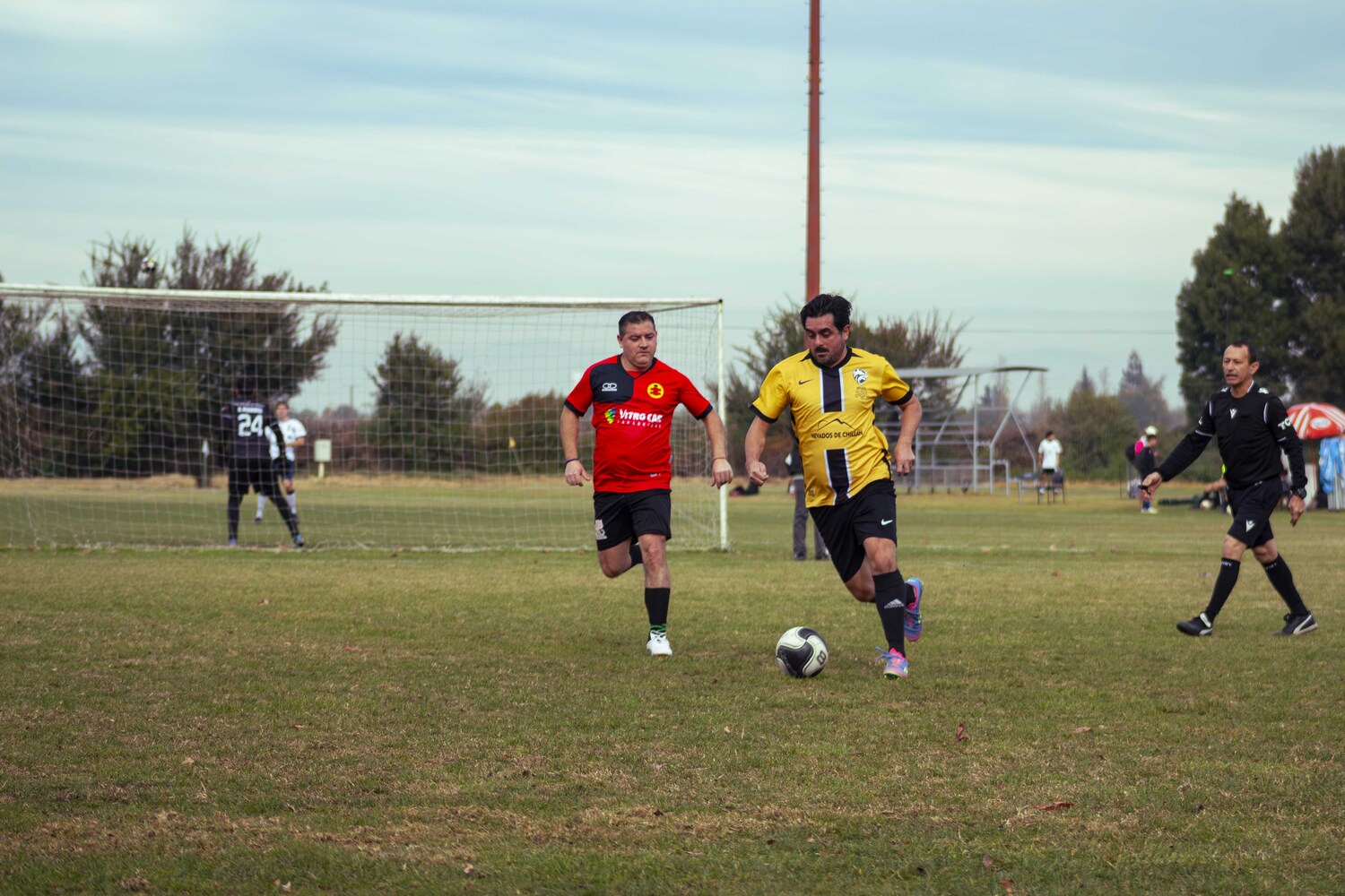 _MG_8176.jpg