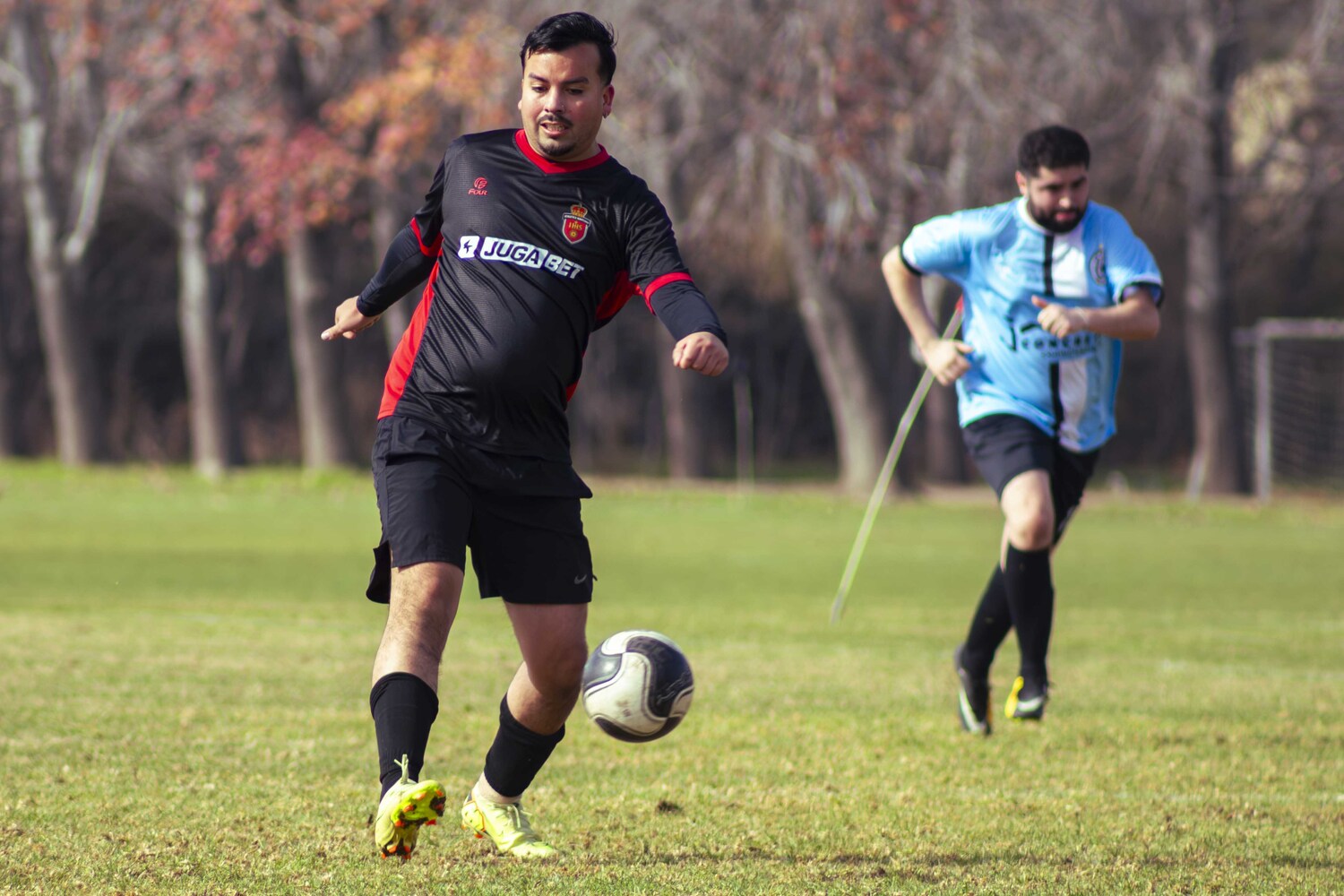 _MG_8250.jpg