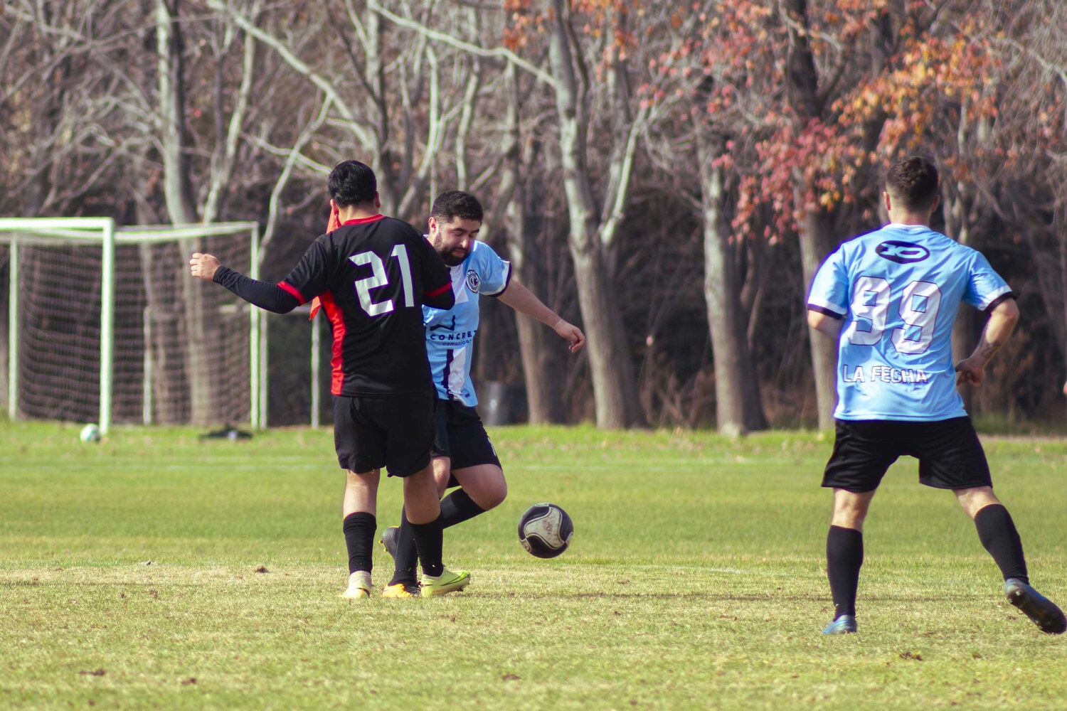 _MG_8252.jpg