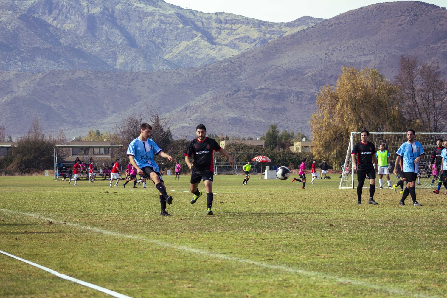 _MG_8258.jpg