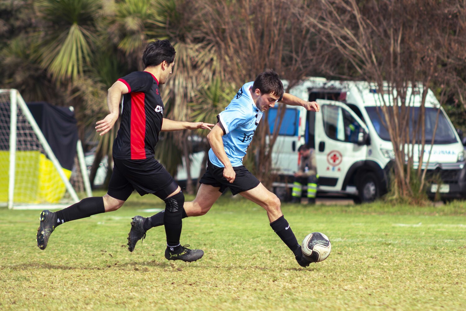 _MG_8266.jpg