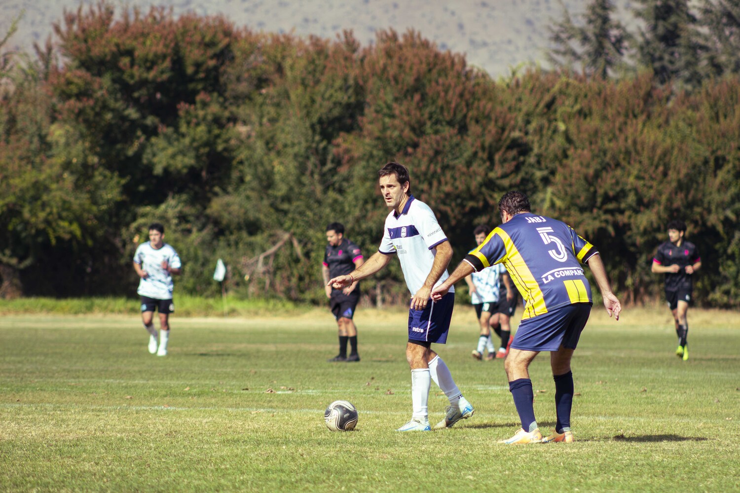 _MG_8296.jpg