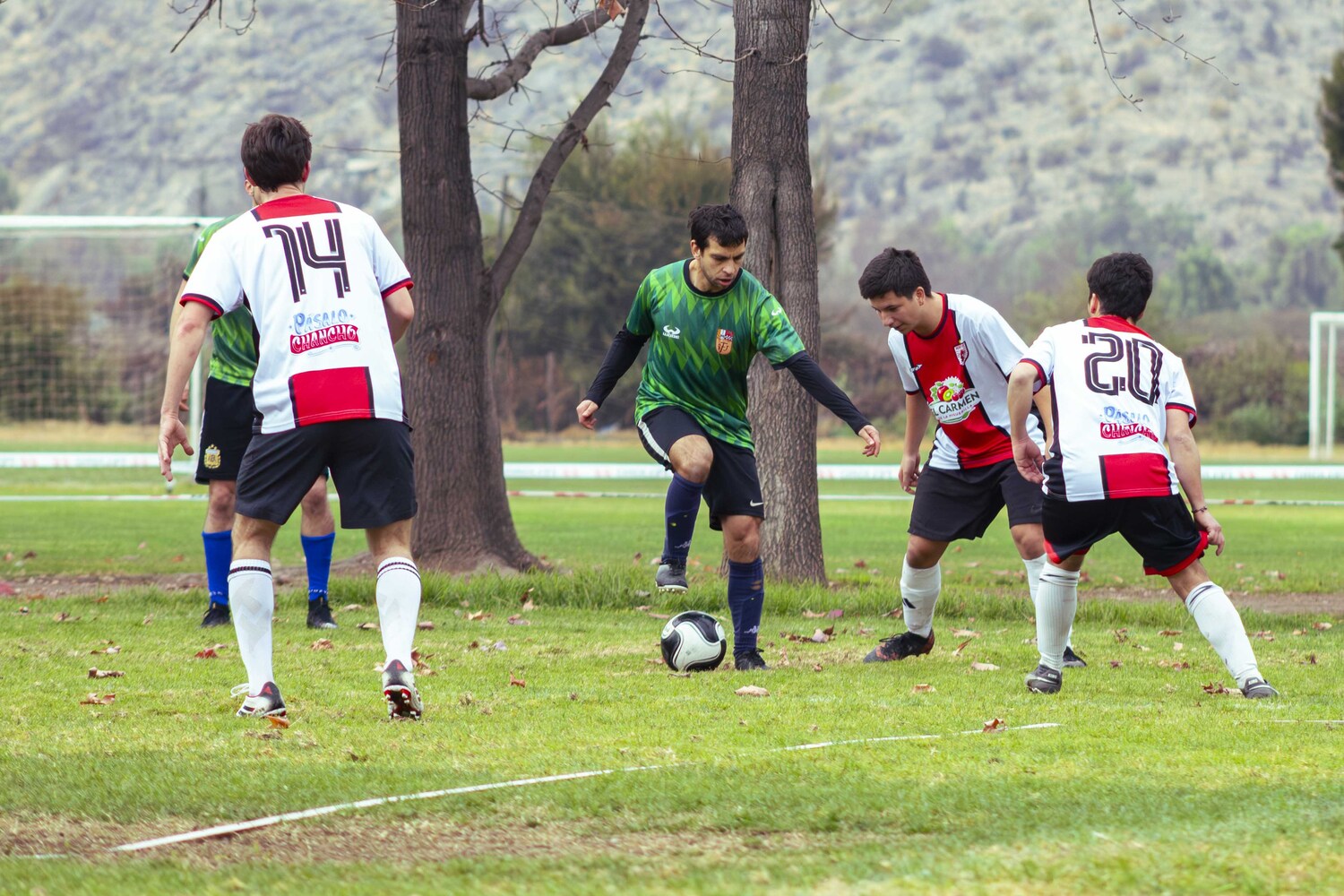 _MG_8338.jpg