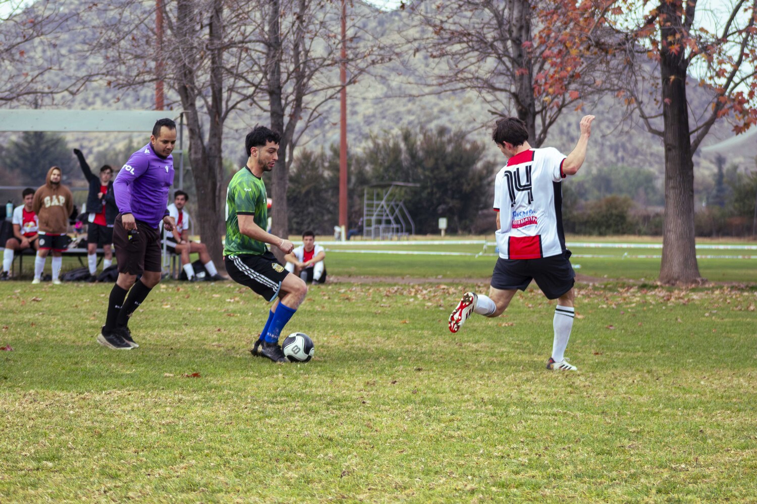 _MG_8363.jpg