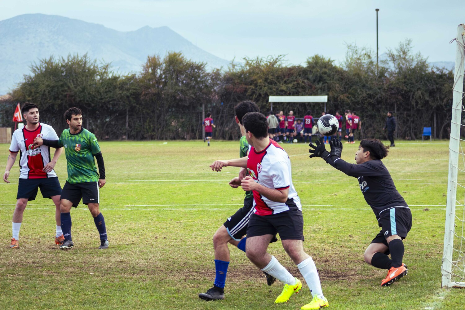 _MG_8385.jpg