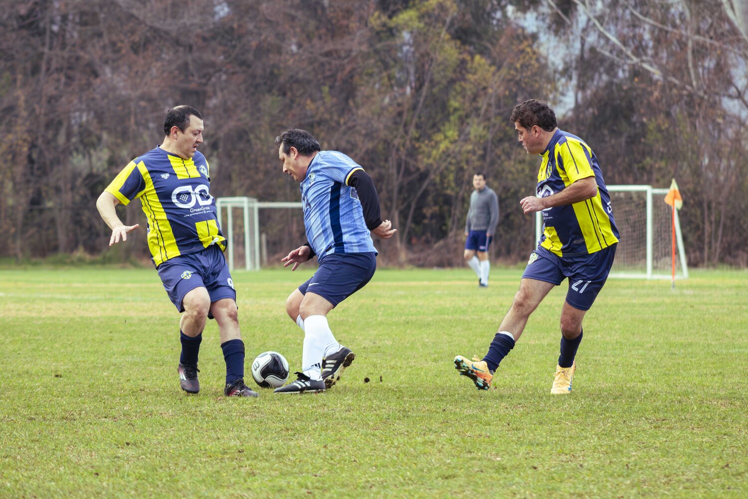 _MG_8388.jpg